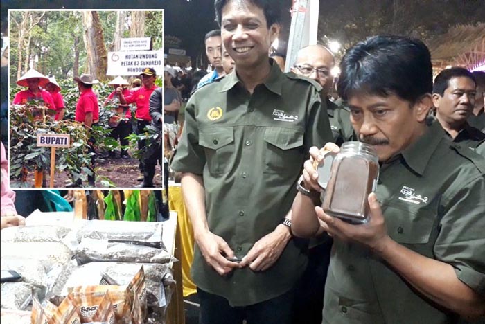 Kopi Bondowoso Ditanam di Bawah Pohon, Bukti Sektor Perkebunan Dukung Tata Kelola Hutan